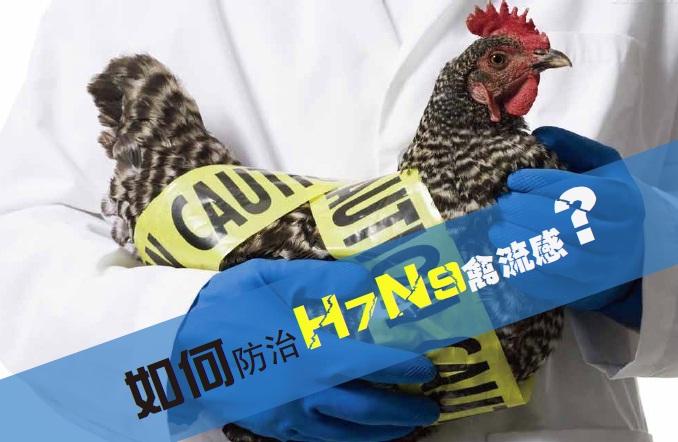 H7N9流感防控知識(shí)及檢測(cè)方法專題培訓(xùn)火熱報(bào)名中