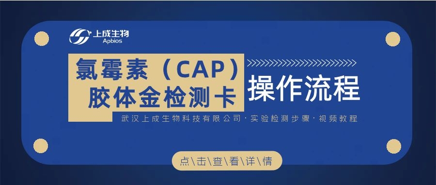 視頻教程 ▏氯霉素(CAP)膠體金檢測(cè)卡操作流程