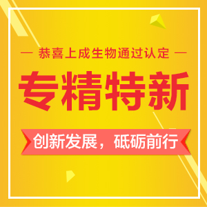 創(chuàng)新發(fā)展,砥礪前行丨祝賀上成通過“專精特新中小企業(yè)”認(rèn)定